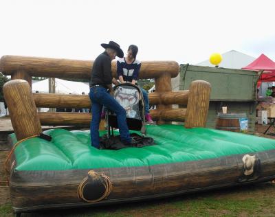 Mechanical Bull Ride